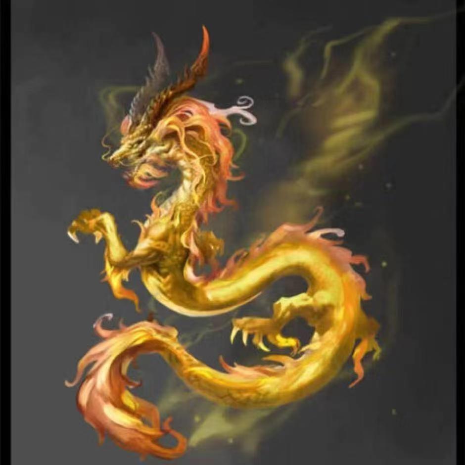 运满乾坤