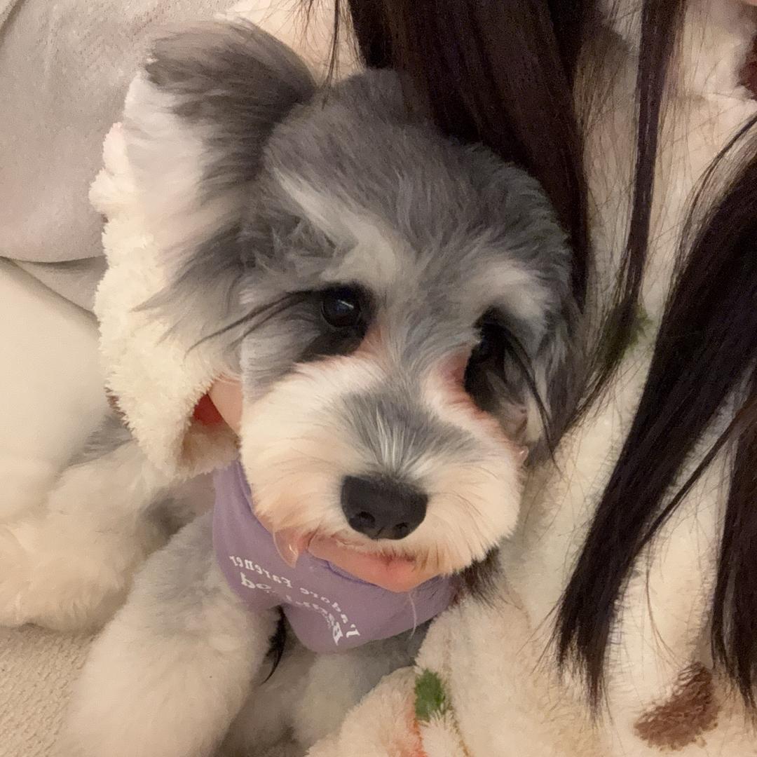 可可的麻麻
