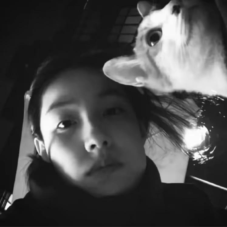 起风了