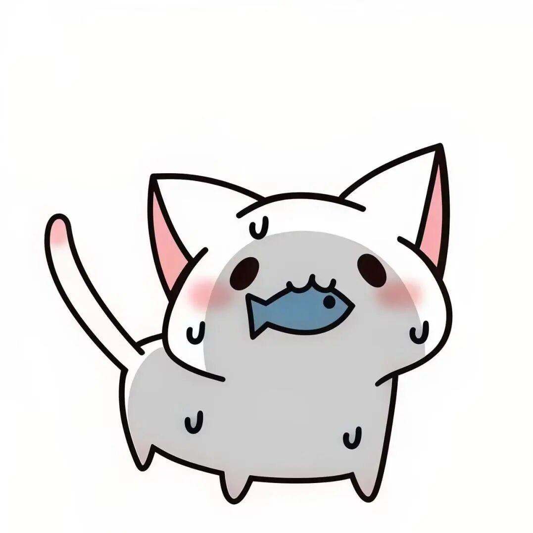 随便