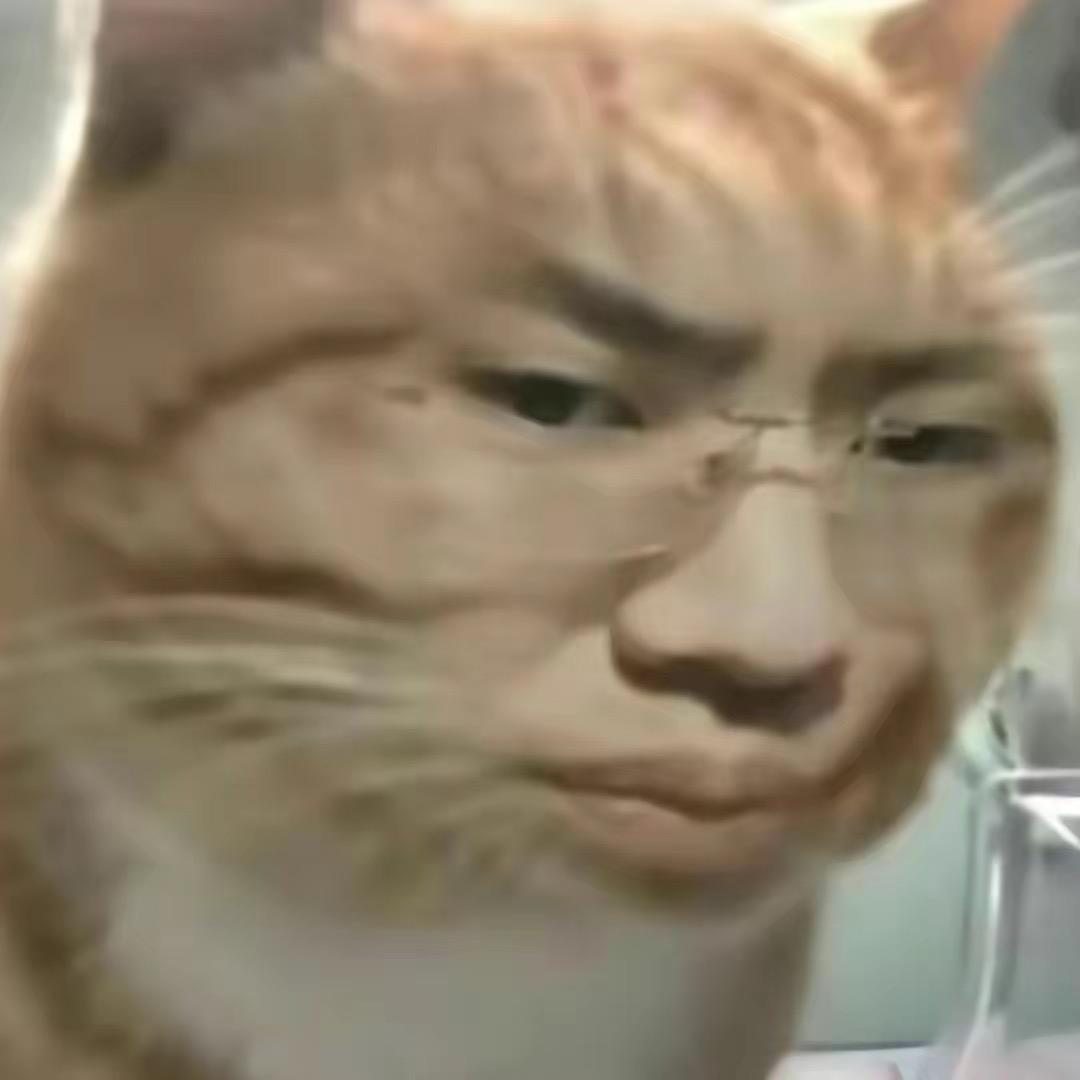 你礼貌吗