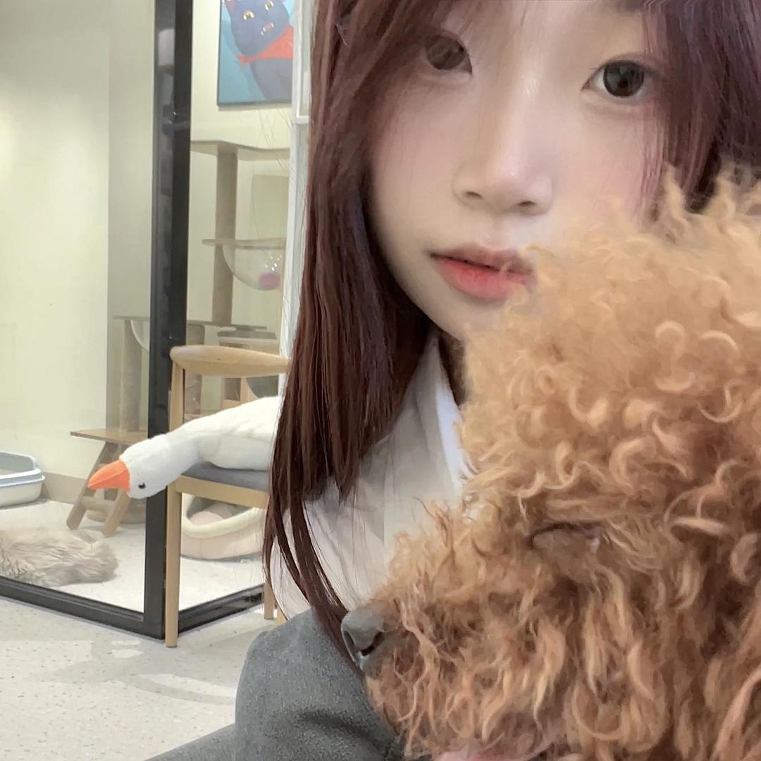蜥蜴c