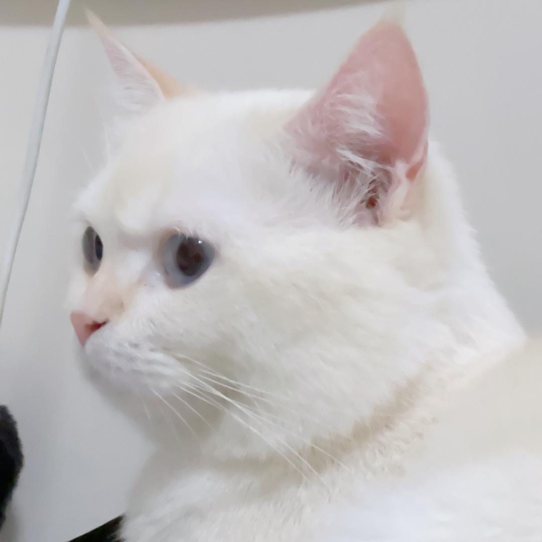 🫢捂嘴⚡️🌙🌽