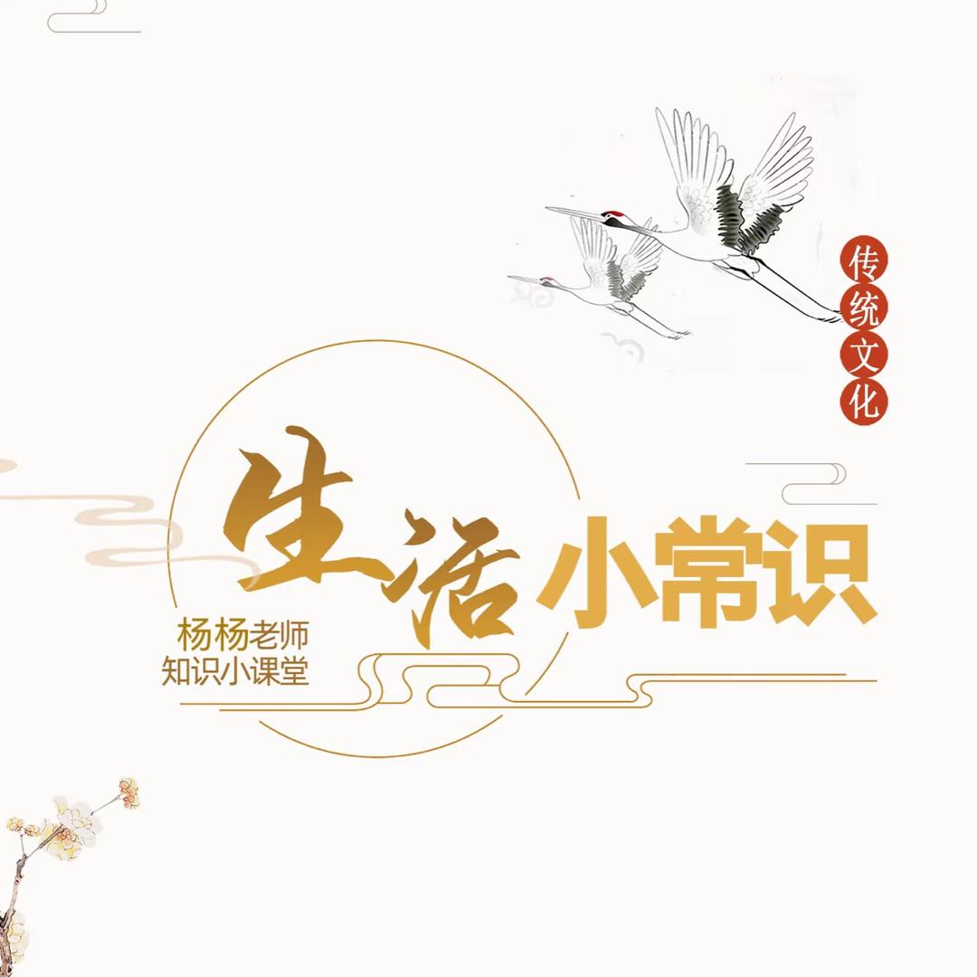杨杨爱分享