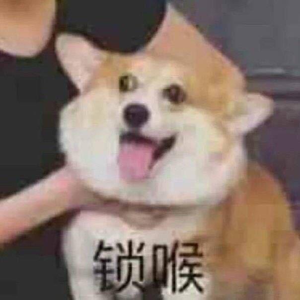 龙亦瑞容易累