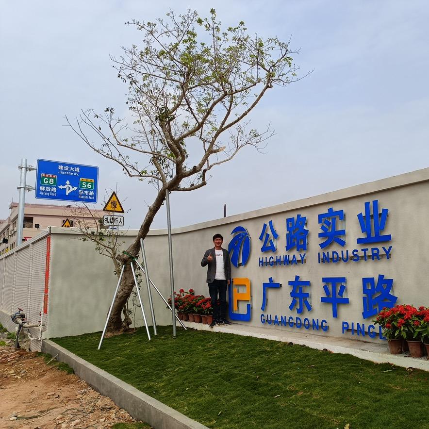 过期可乐