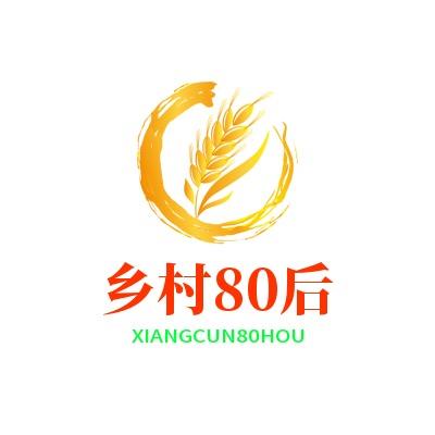 乡村80后