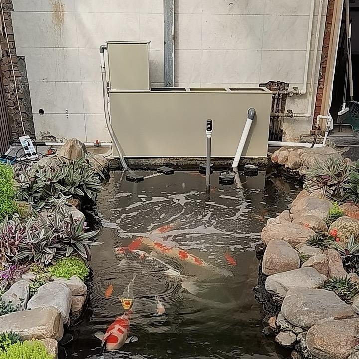 工匠鱼池过滤设备厂