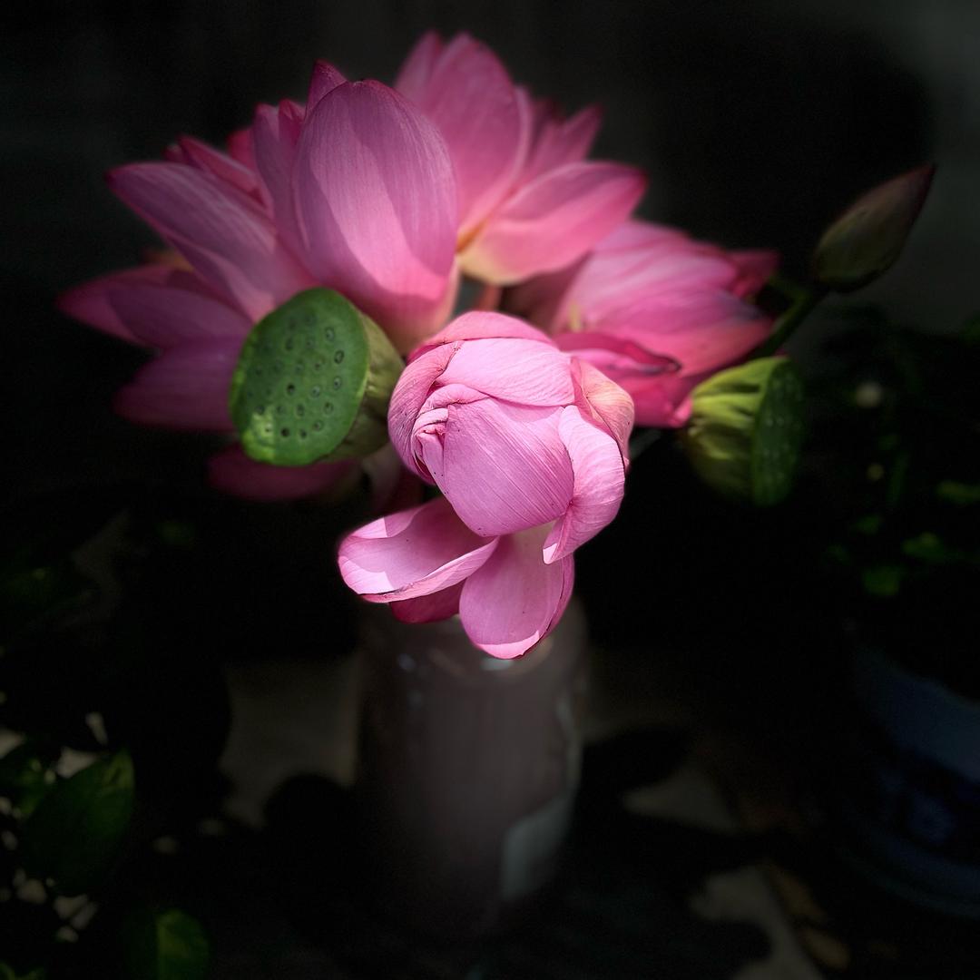 果果🌹