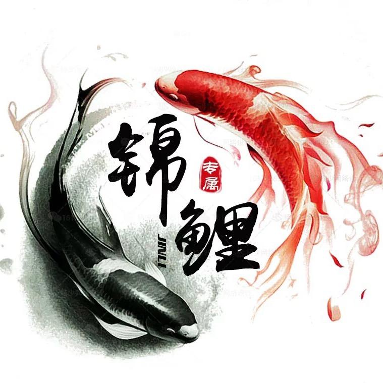 锦鲤✨✨✨