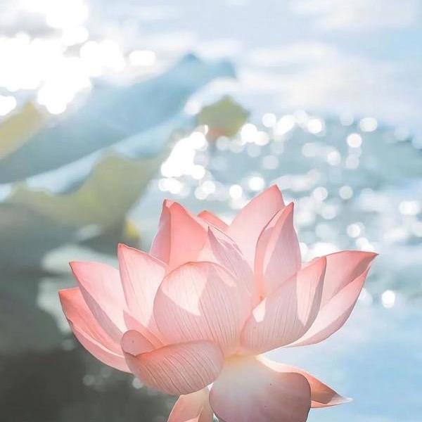 汐子
