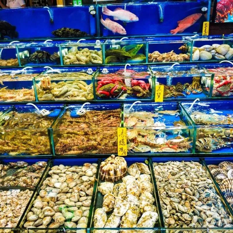 利津小盖