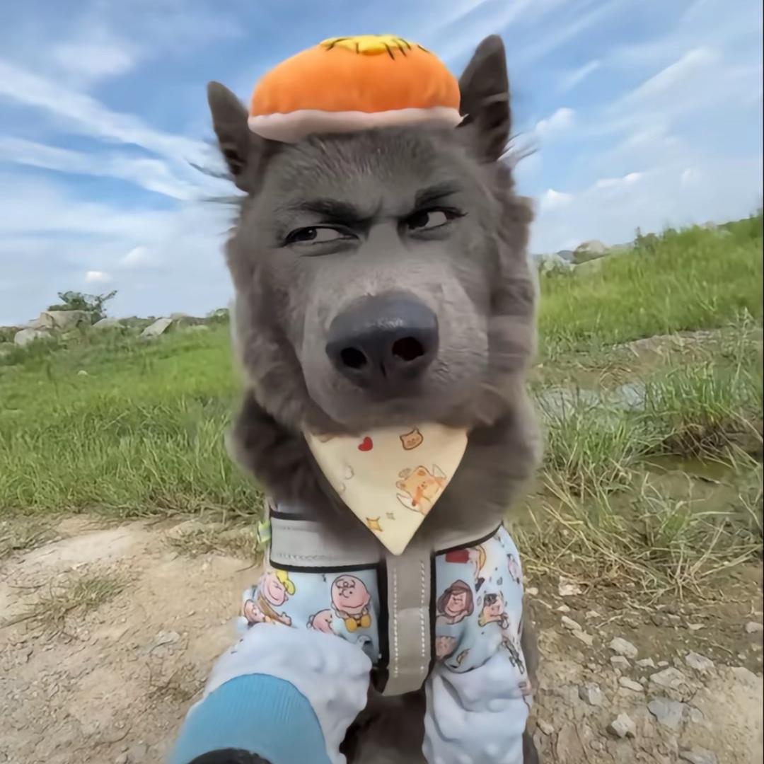 朝朝暮暮