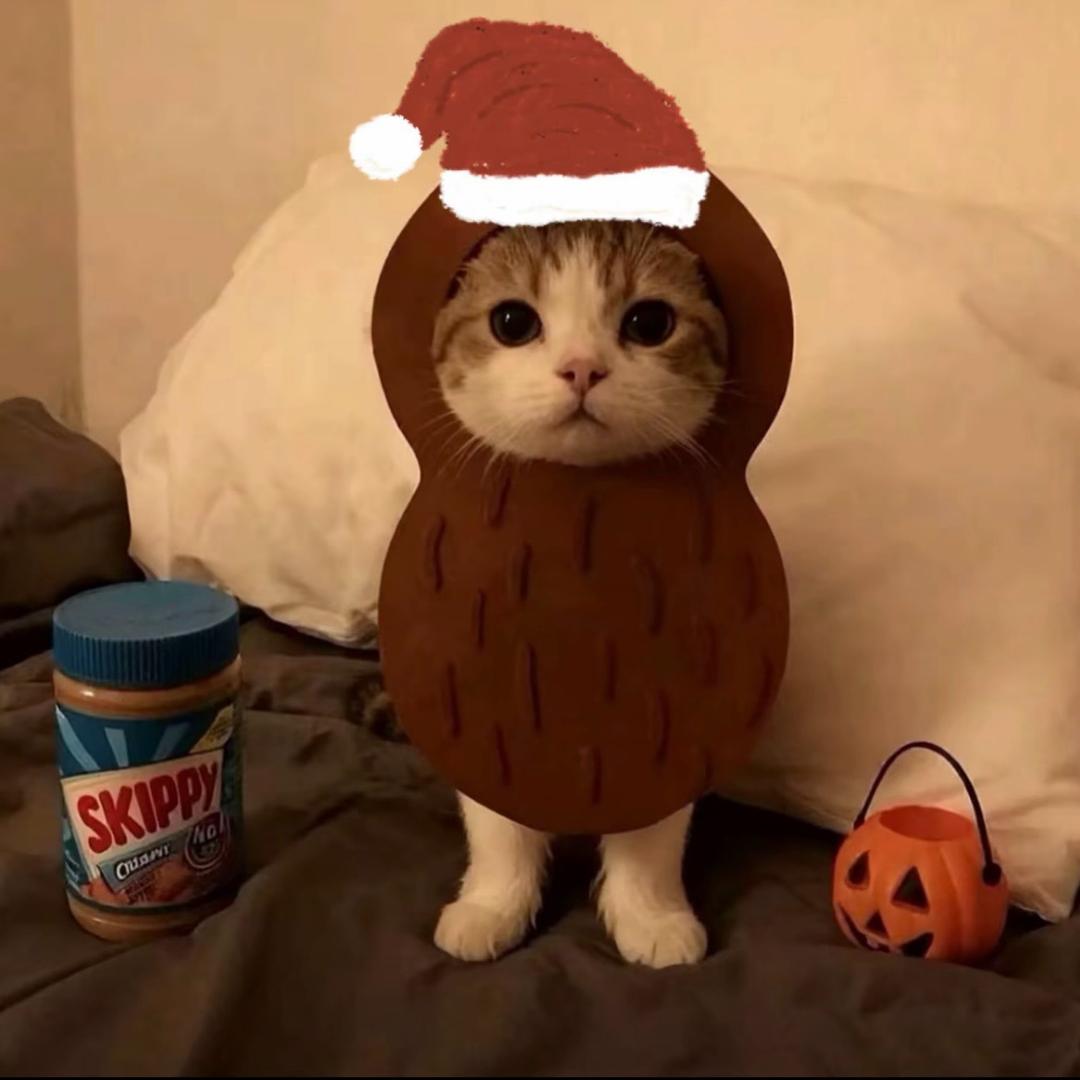 番茄说想吃掉西红柿