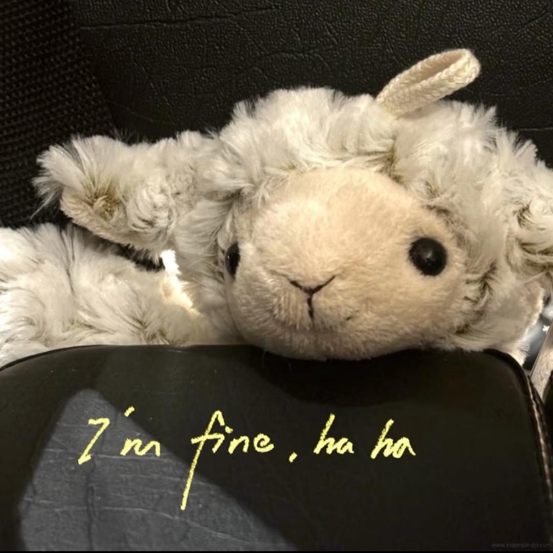 小彭彭彭彭彭🐑