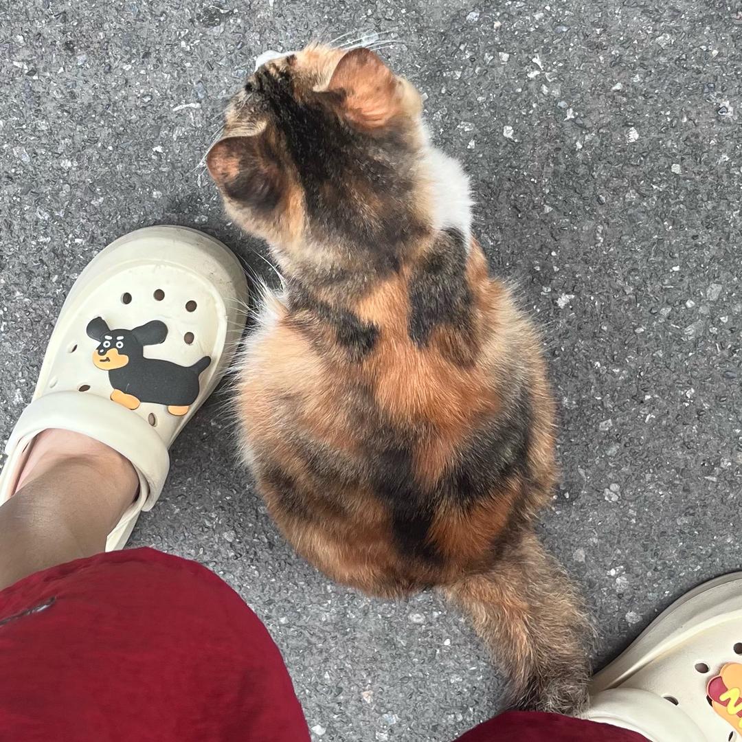 我想吃烧烤