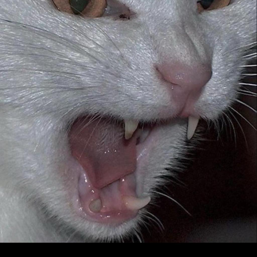 👺