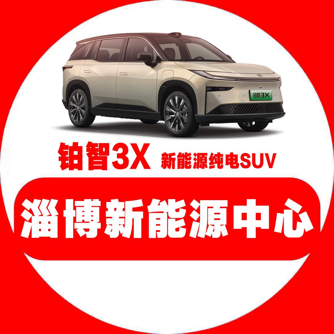淄博铂智新能源中心