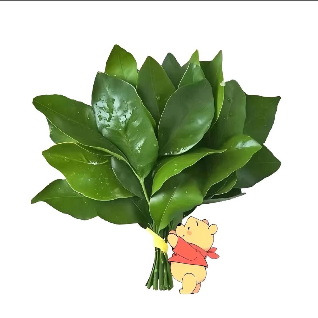 又周一了