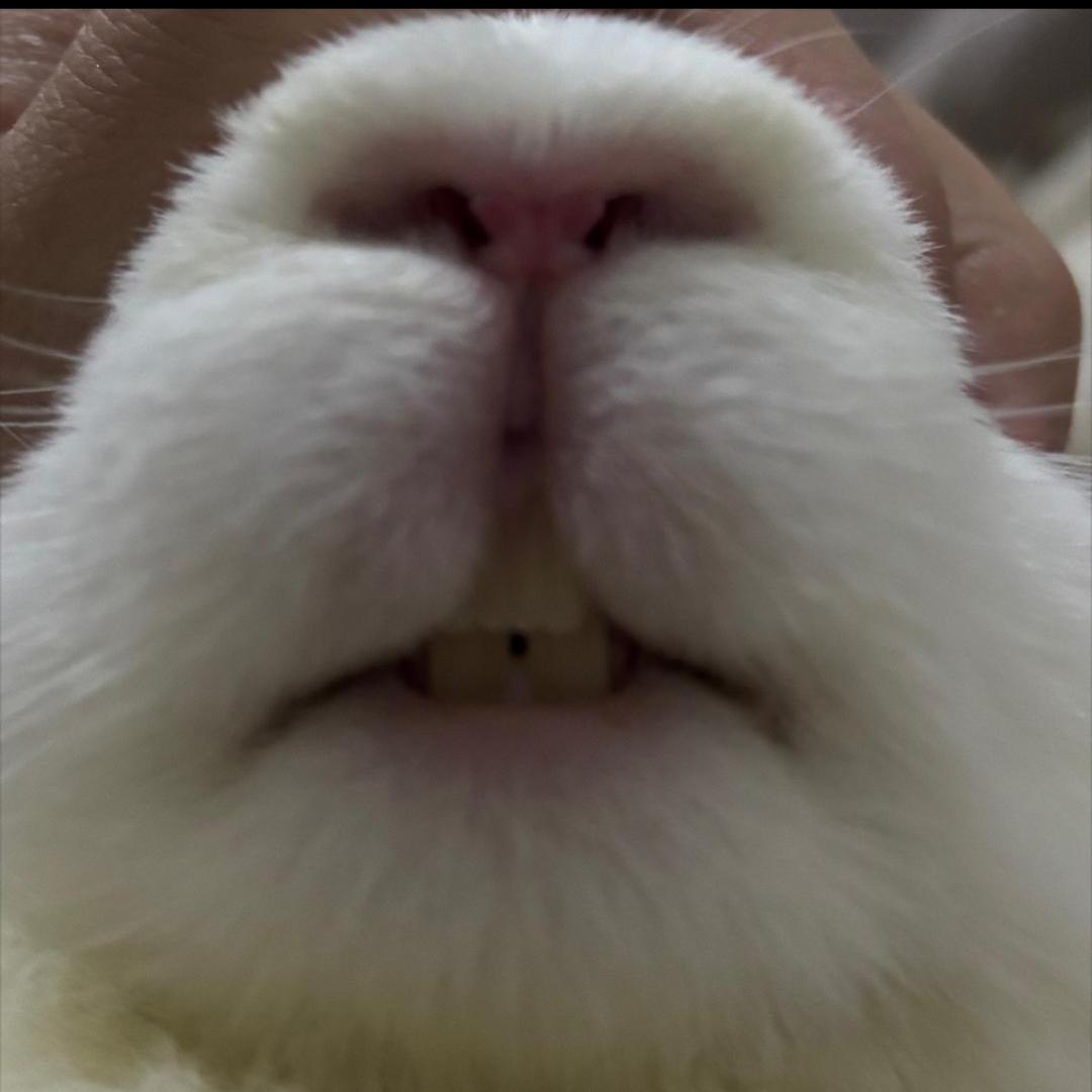 我爱罗