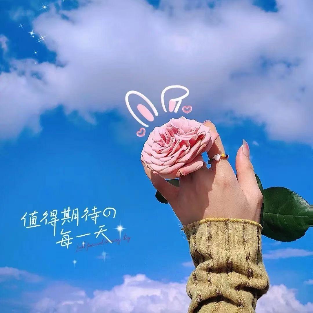 全国社保规划平台