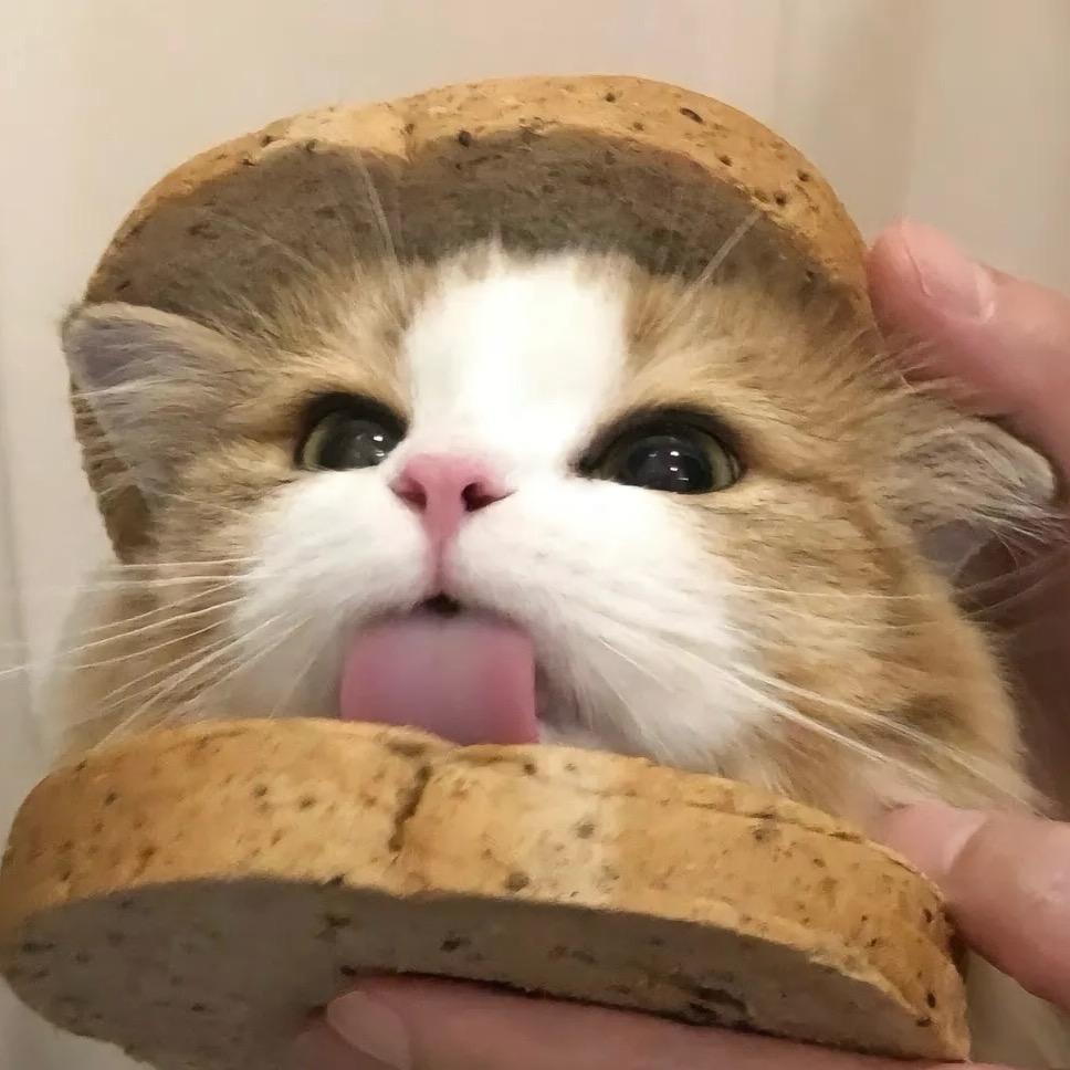 萌宠
