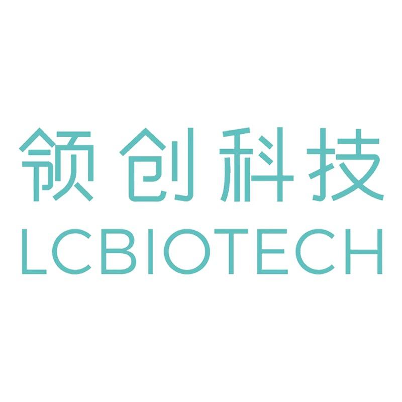 领创科技