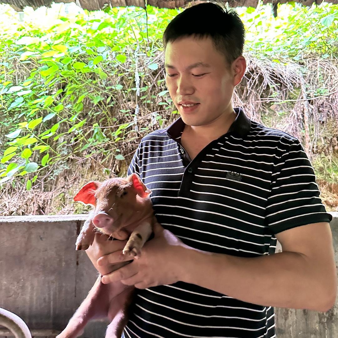 你的猪哥哥呀