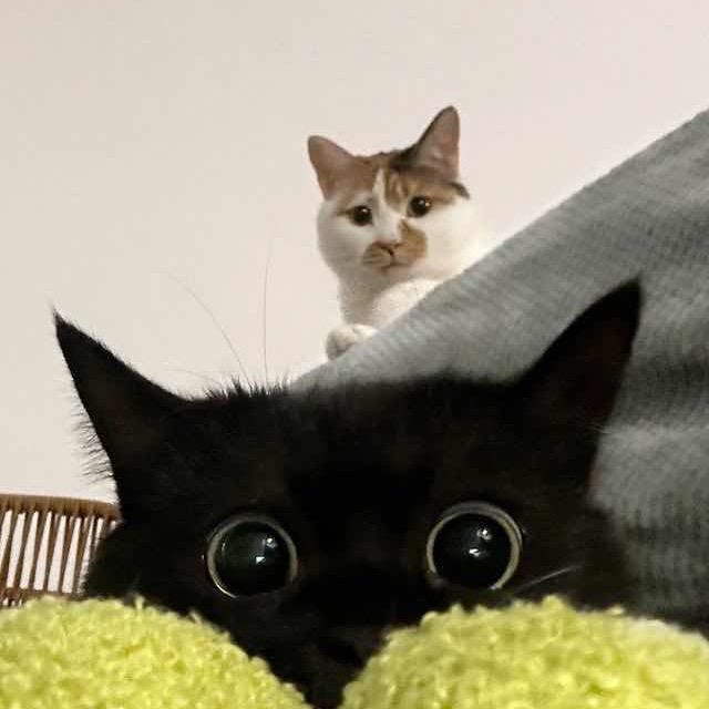 Nuyoah_