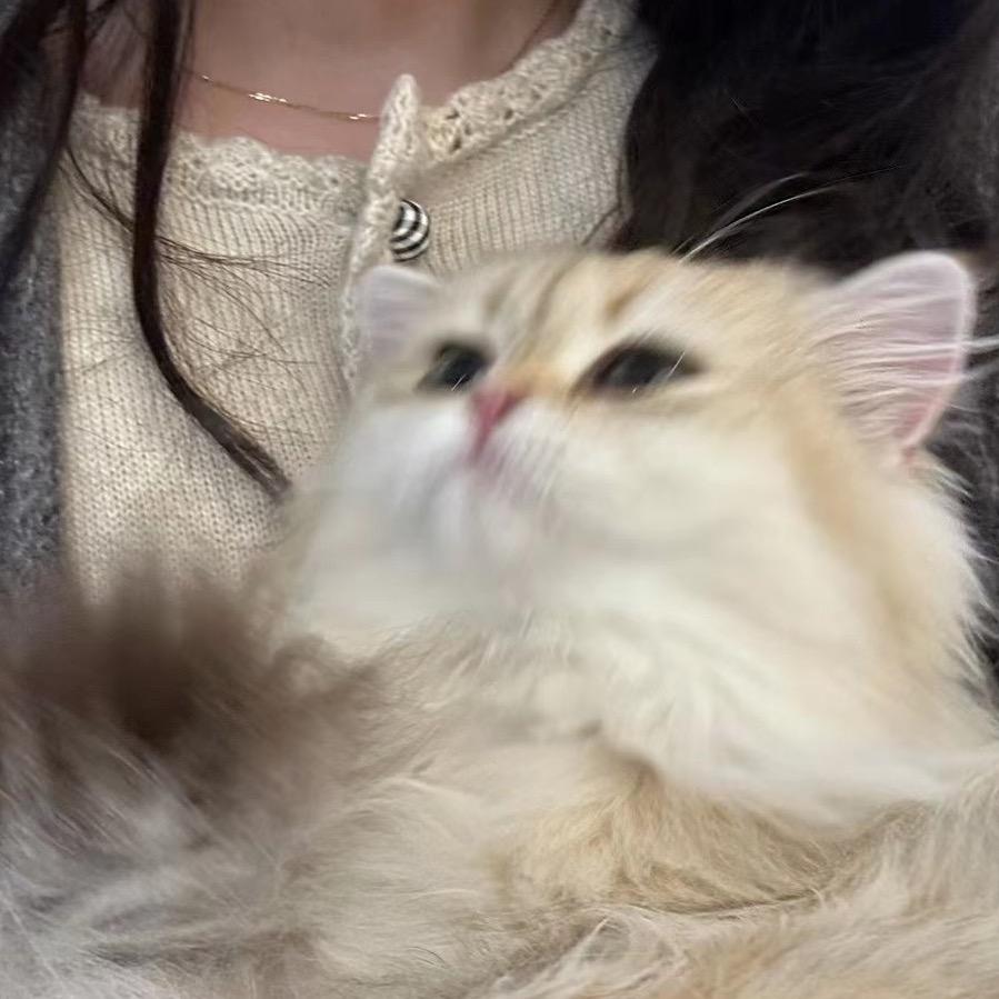 许片蛋黄酥