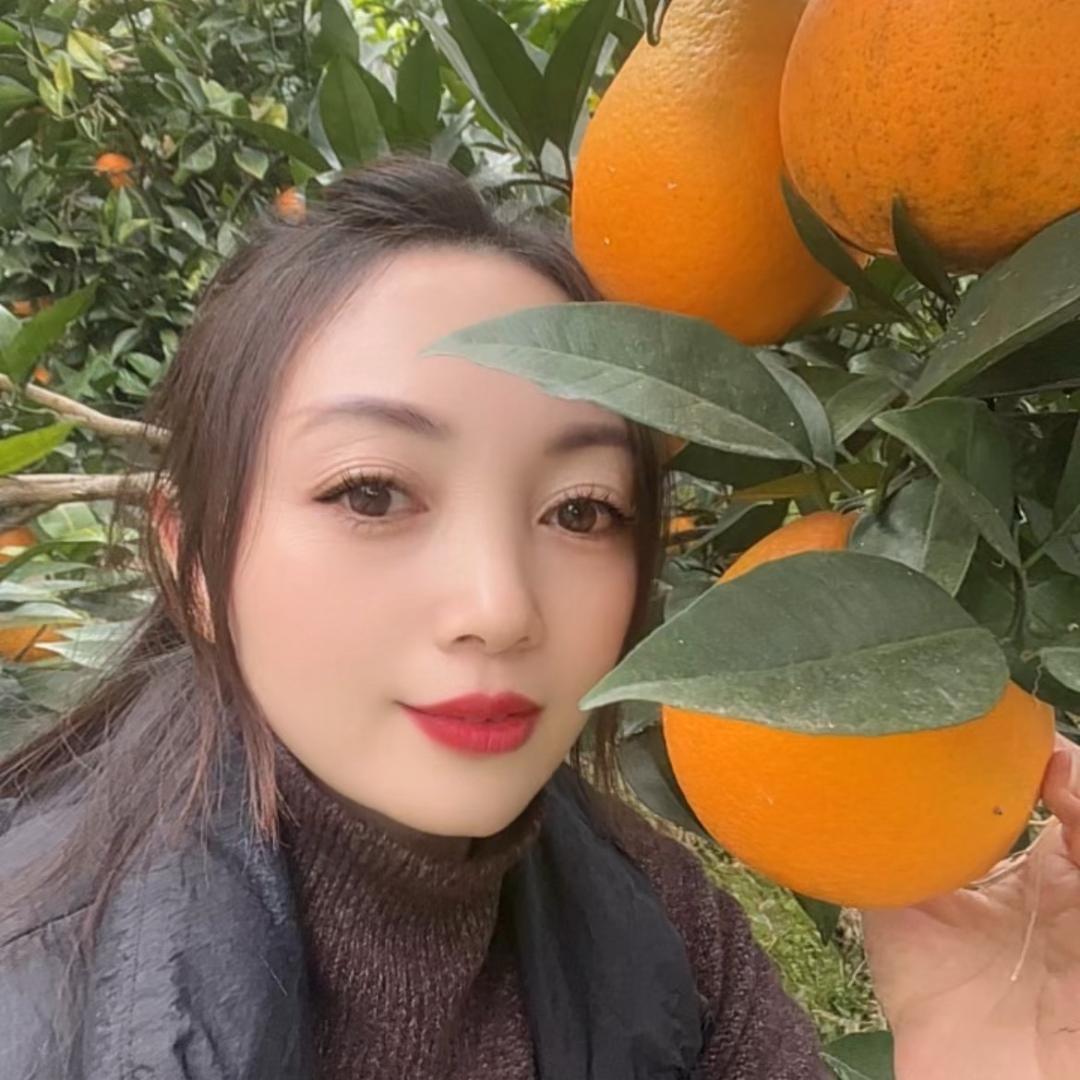 金菊果园奉节脐橙