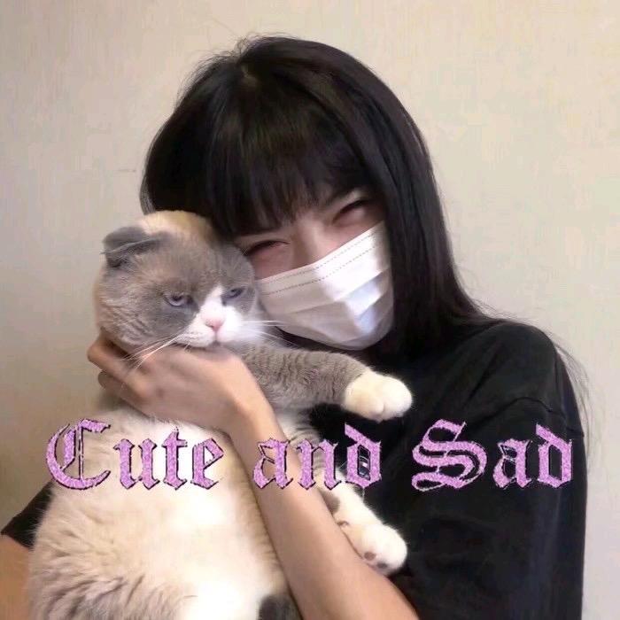 洋枝甘露