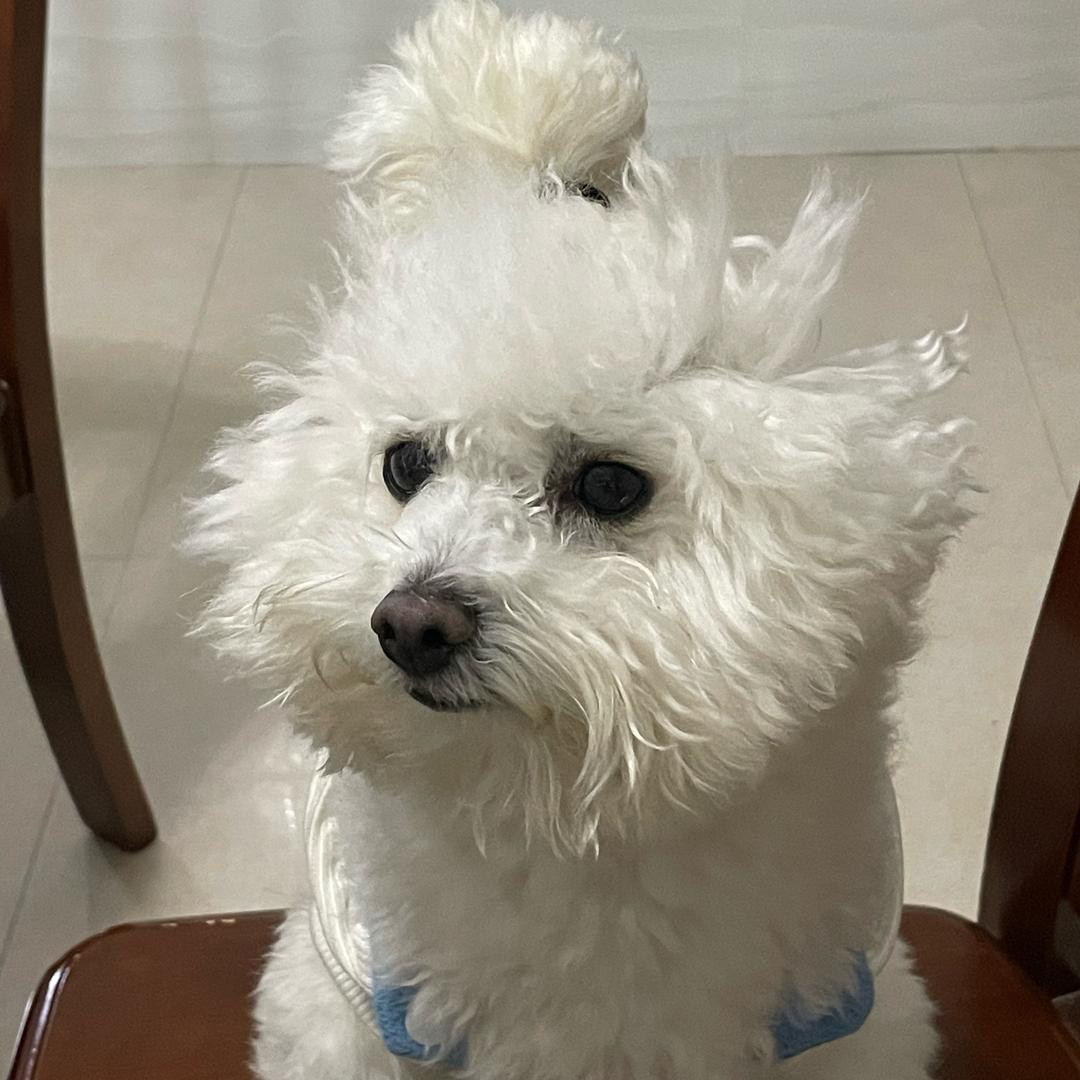 减肥的小煜