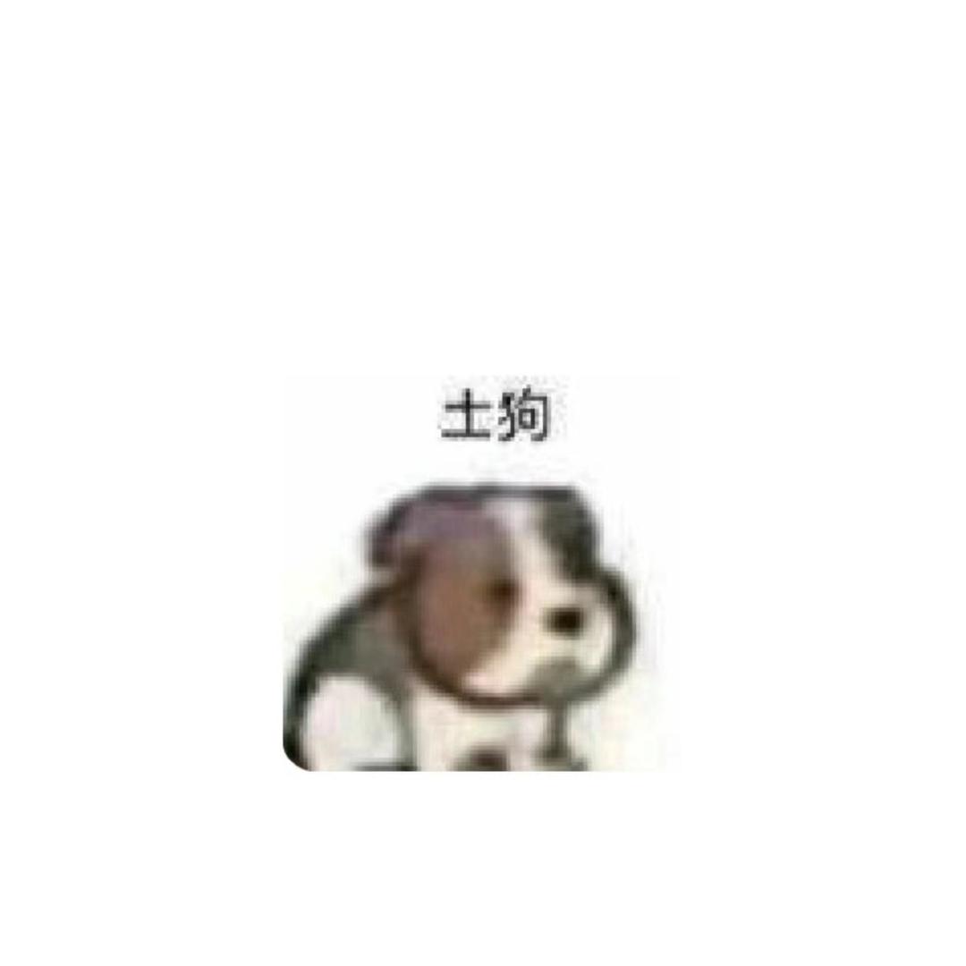 优雅的土🐶