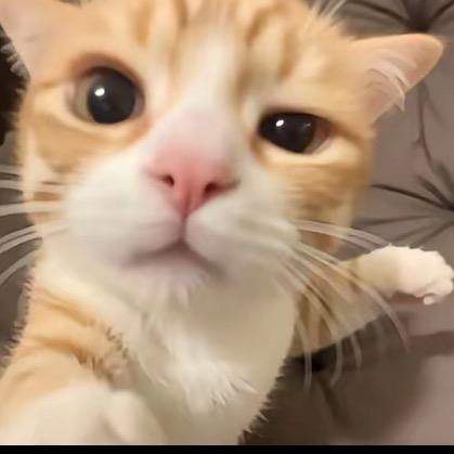 许程