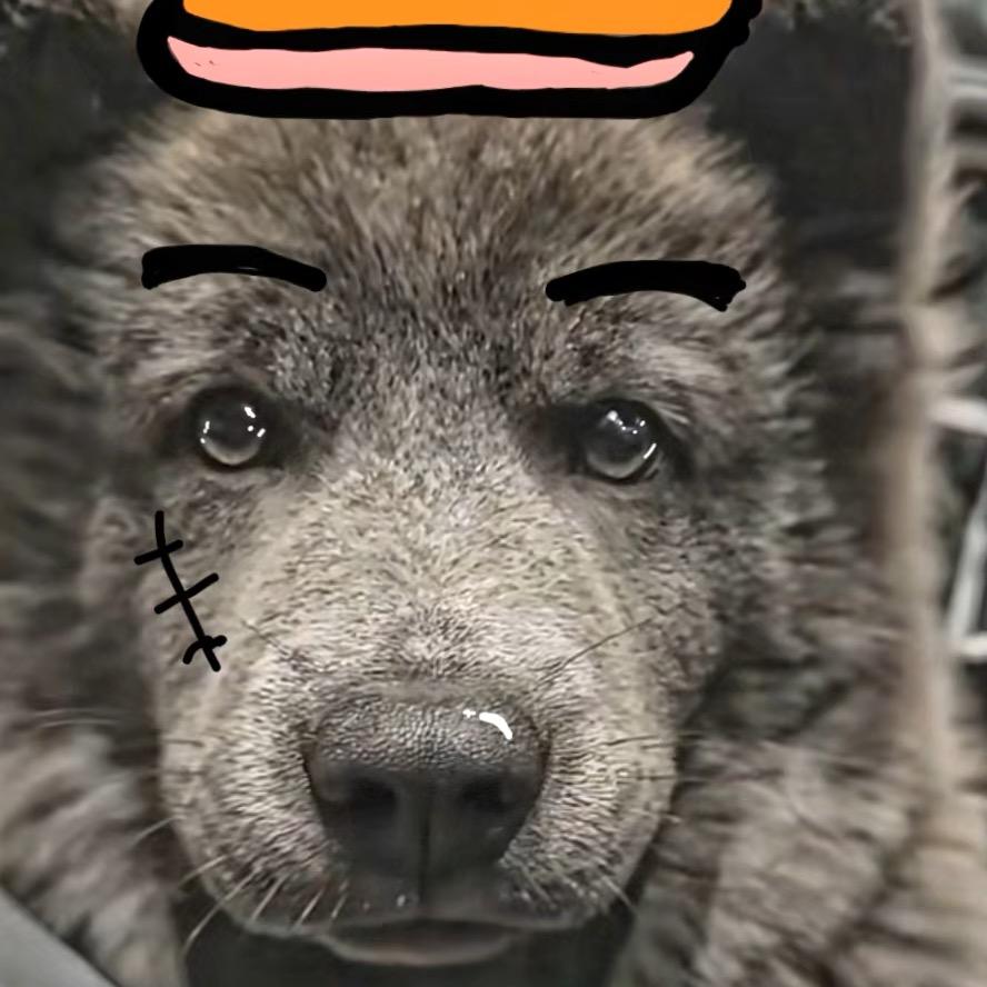 Hugo🥷