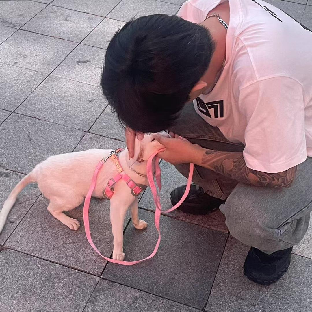 沼泽德文直播小助理