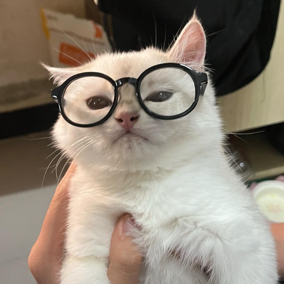 胃尼熊