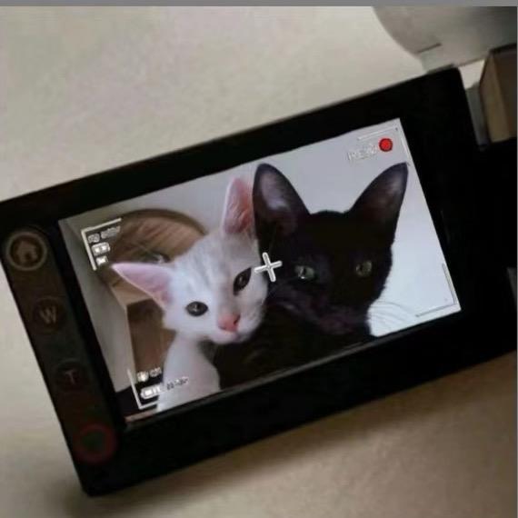 Ennnnnkar丫