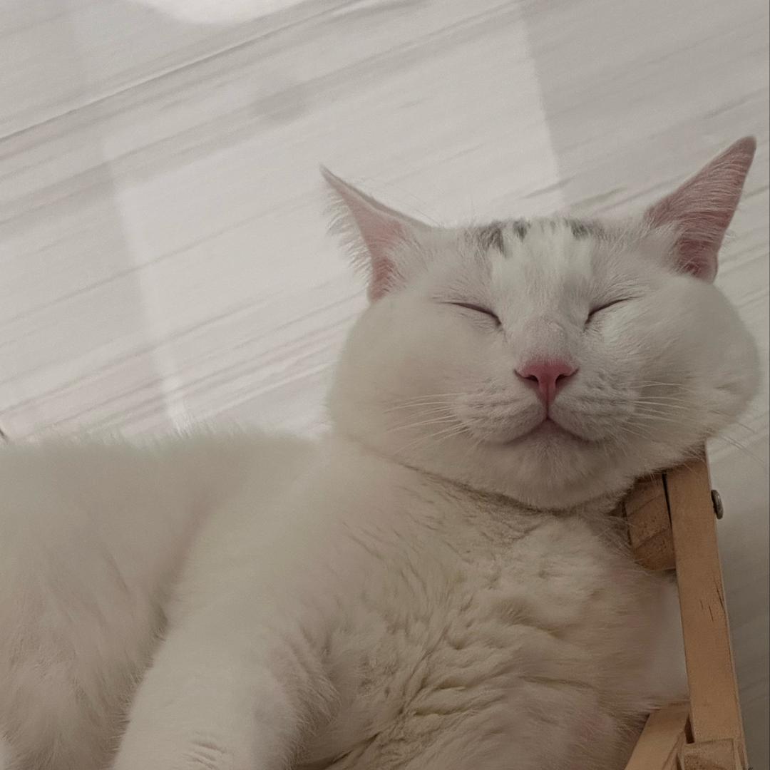 少吃炸鸡腿🍗