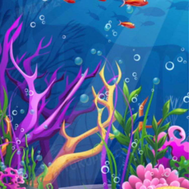 奈奈服装经营部