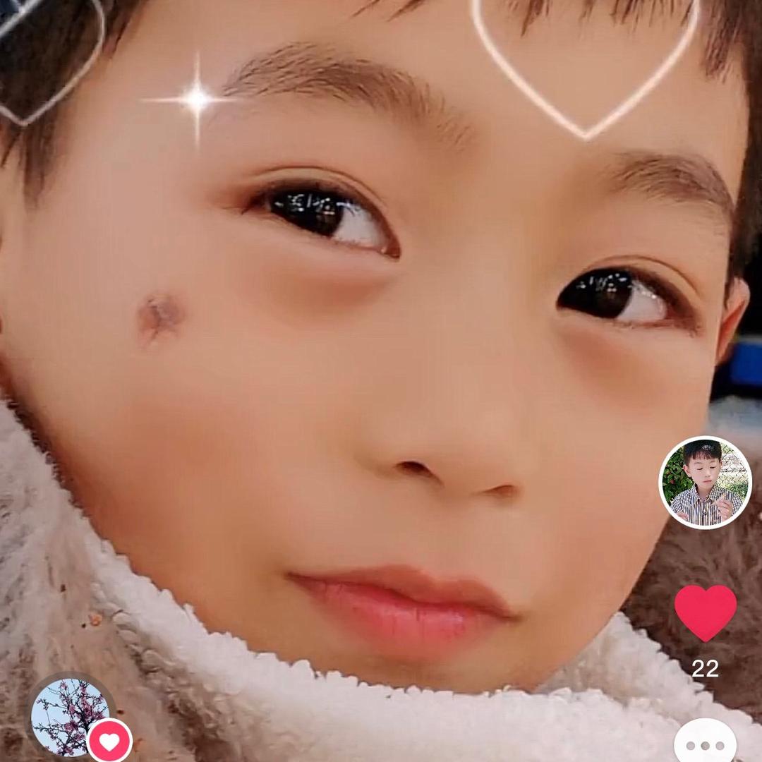 (づ ●─● )柴柴我是谁