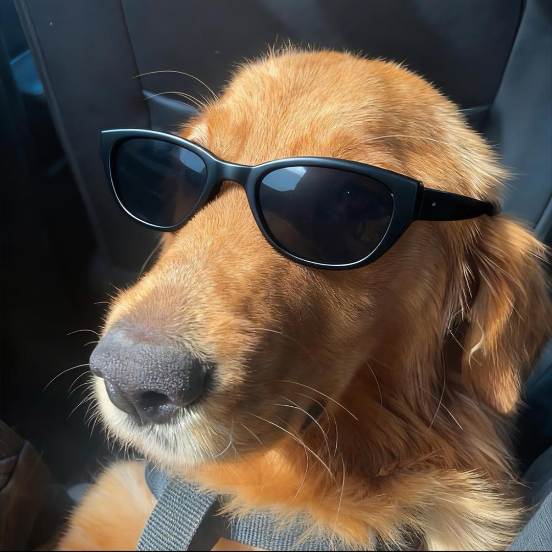 阝 ￴￴ 东￴ ￴￴