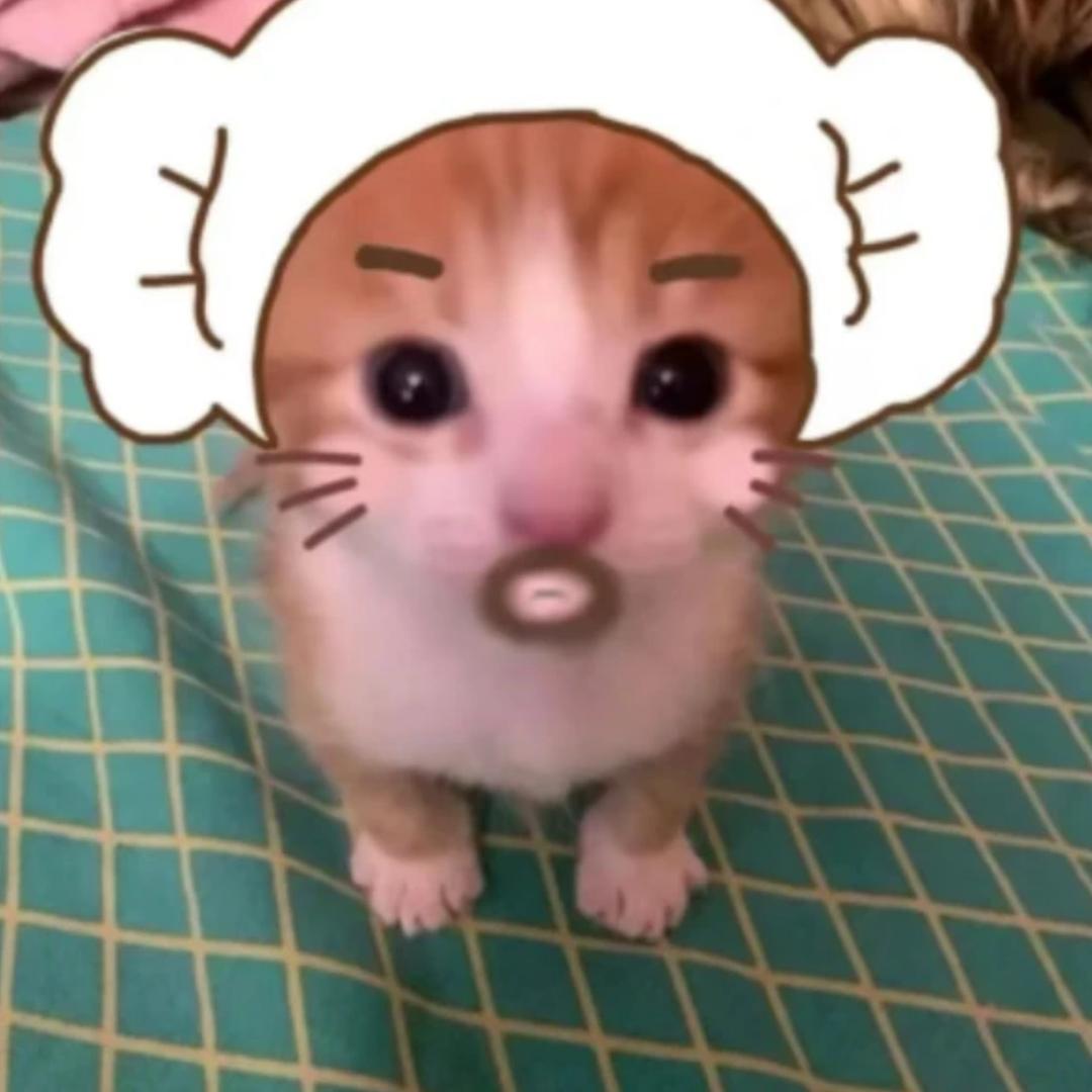 鱿鱼鸡屎酱