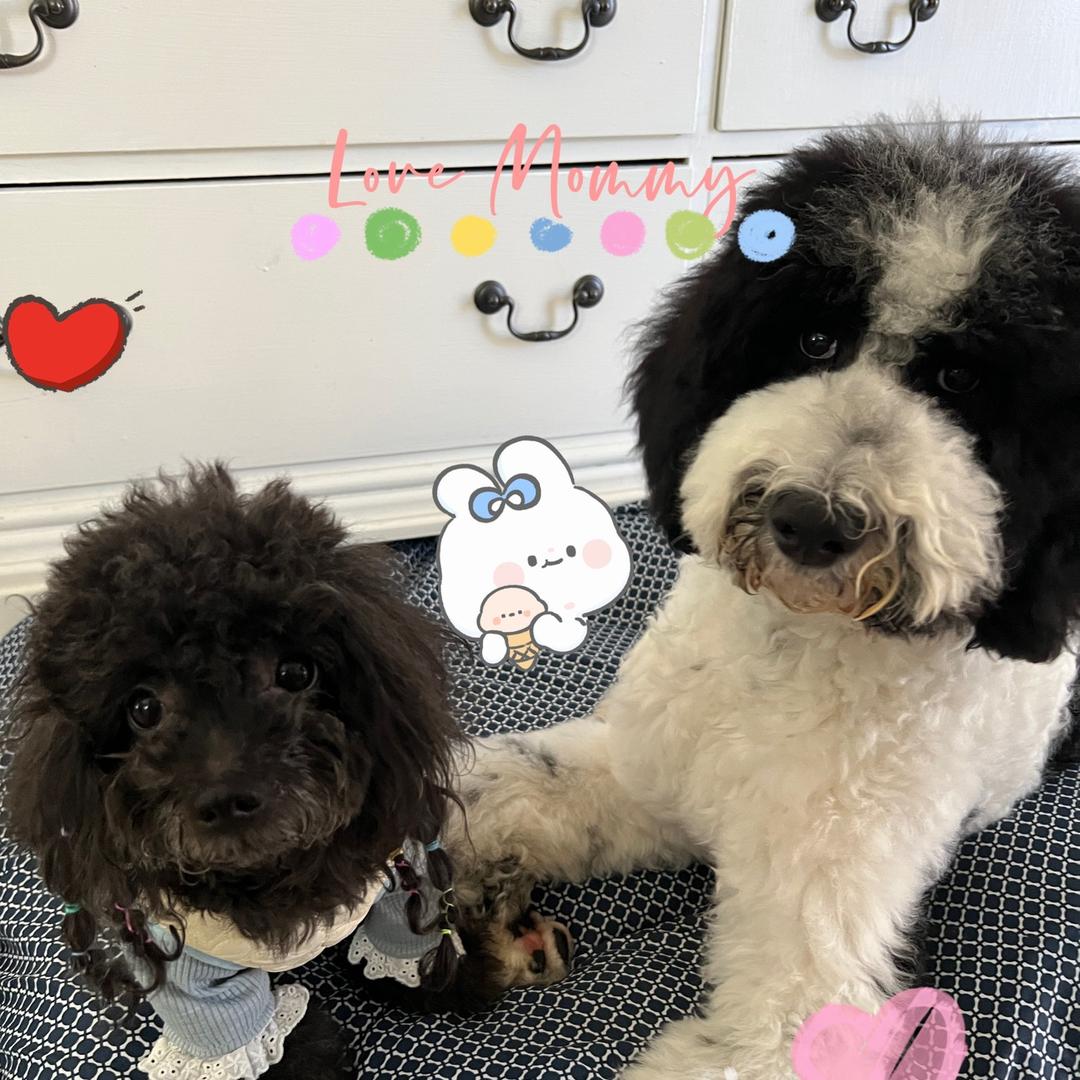 ᰔᩚ🥀Coffee🐩PღF