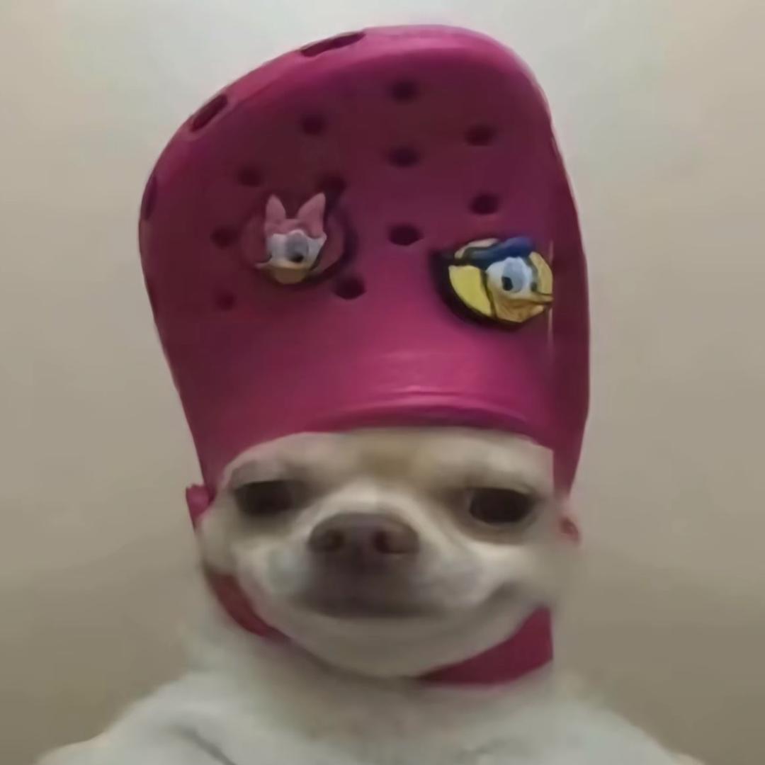 都行（