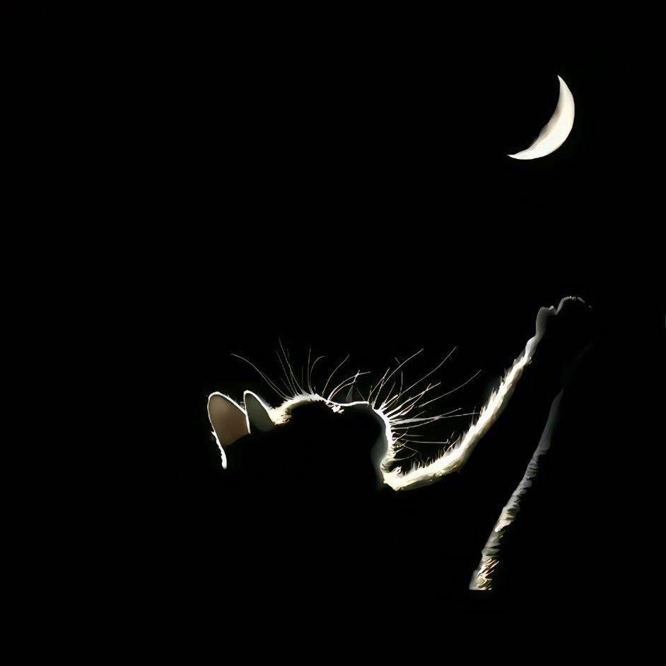 ℳღ归零᭄ꦿ࿐