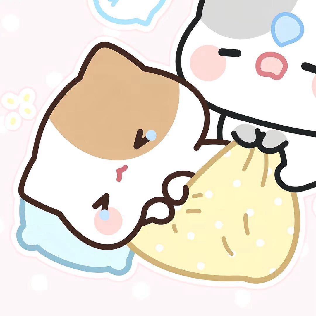 下次见