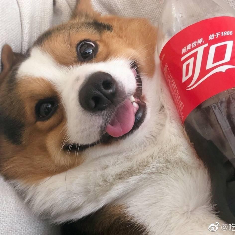 南妻