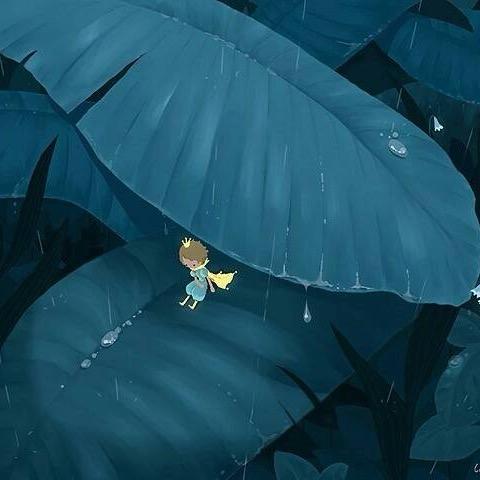 下雨天☔️